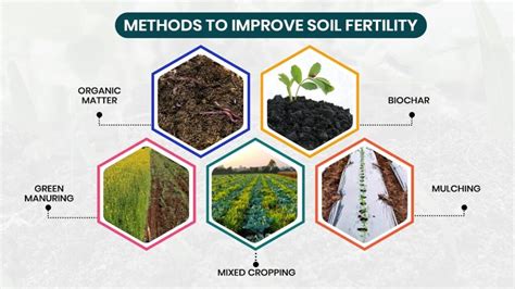 Improving Soil Fertility: A Comprehensive Guide for Russian Farmers, - Harvesting Wisdom and Cultivating Hope on Fertile Pages